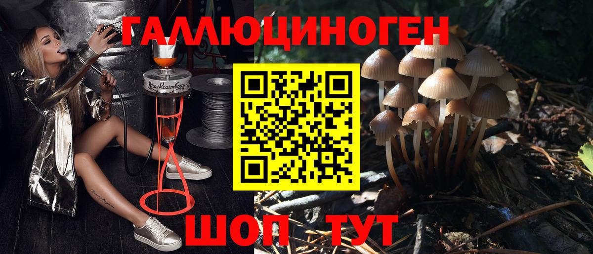 Кемерово  Псилоцибиновые грибы прущие грибы  Вход с VPN 